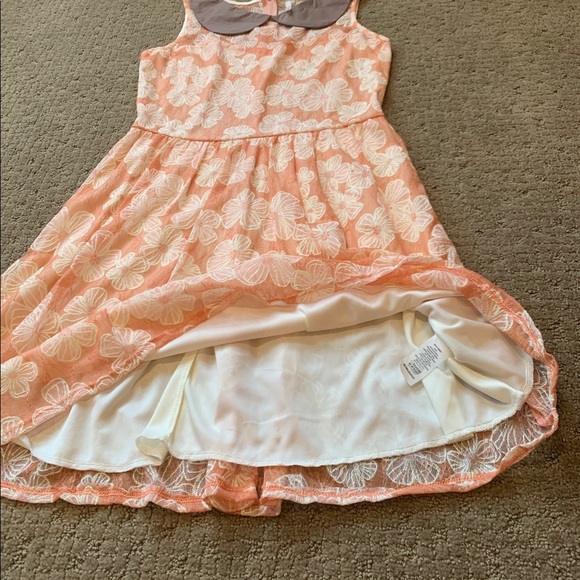 Womens Floral Dress W Peter Pan Collar Size M - Picture 3 of 8